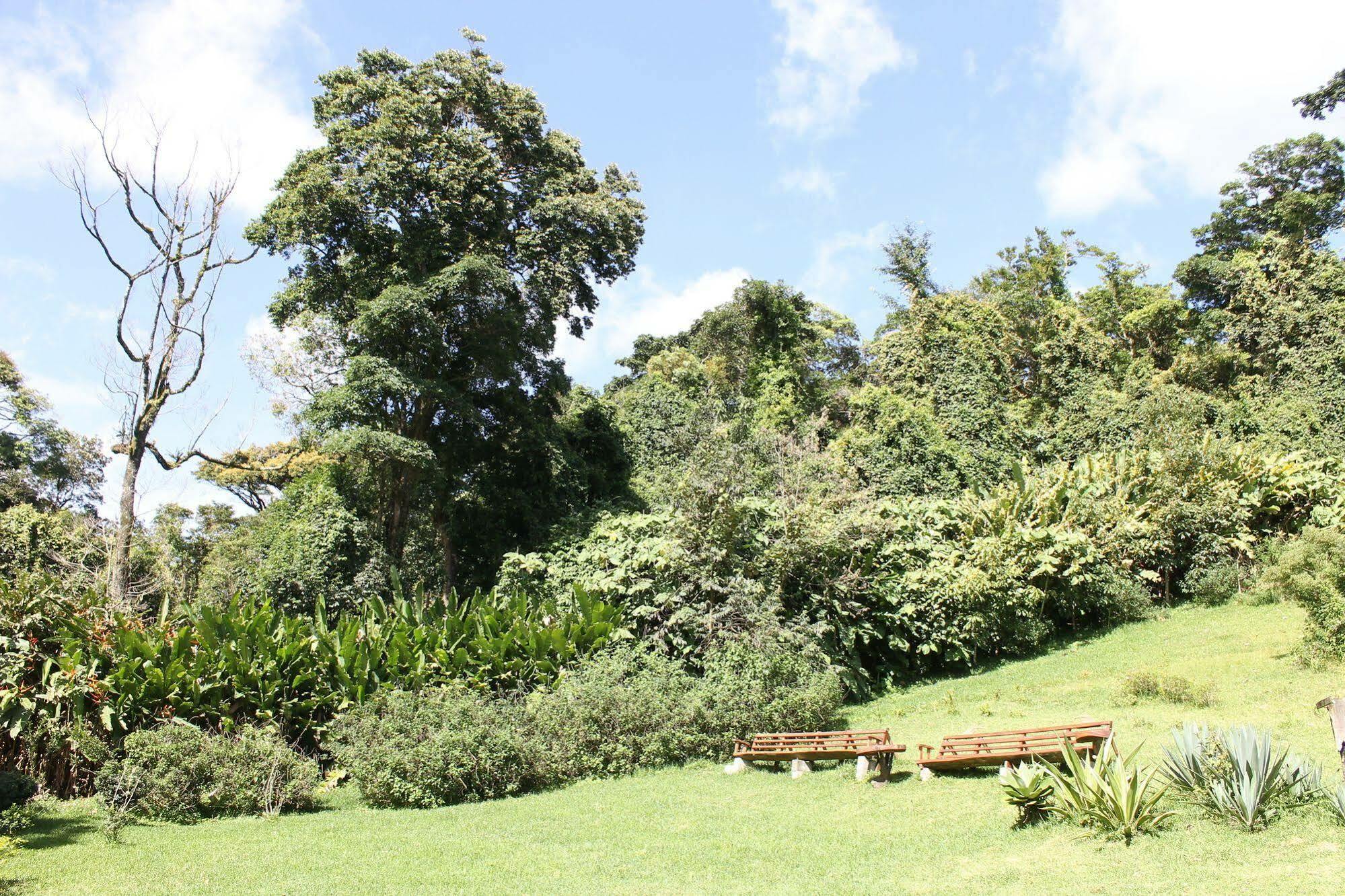 מונטה ורדה Hotel Bosque Verde Lodge מראה חיצוני תמונה